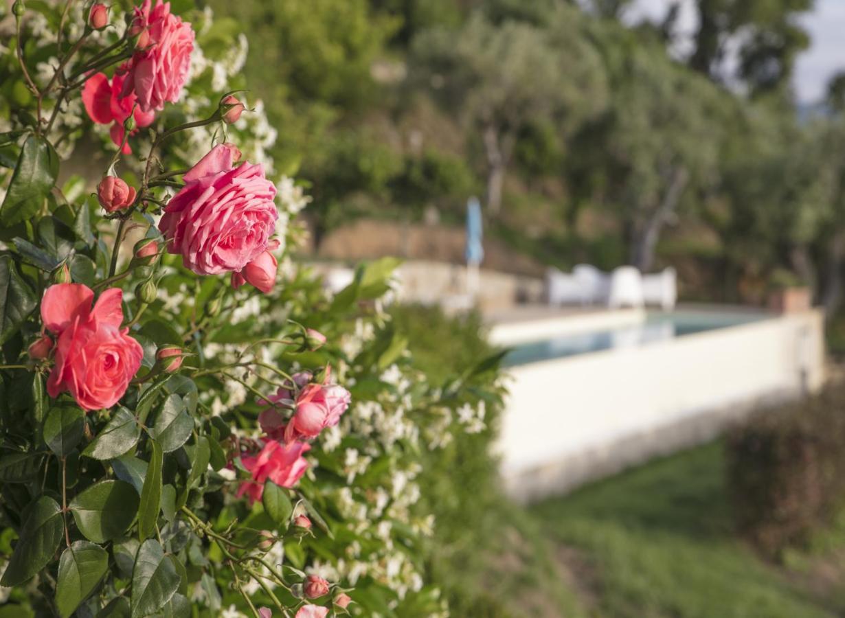 Villa Laura Capo dʼOrlando Zewnętrze zdjęcie