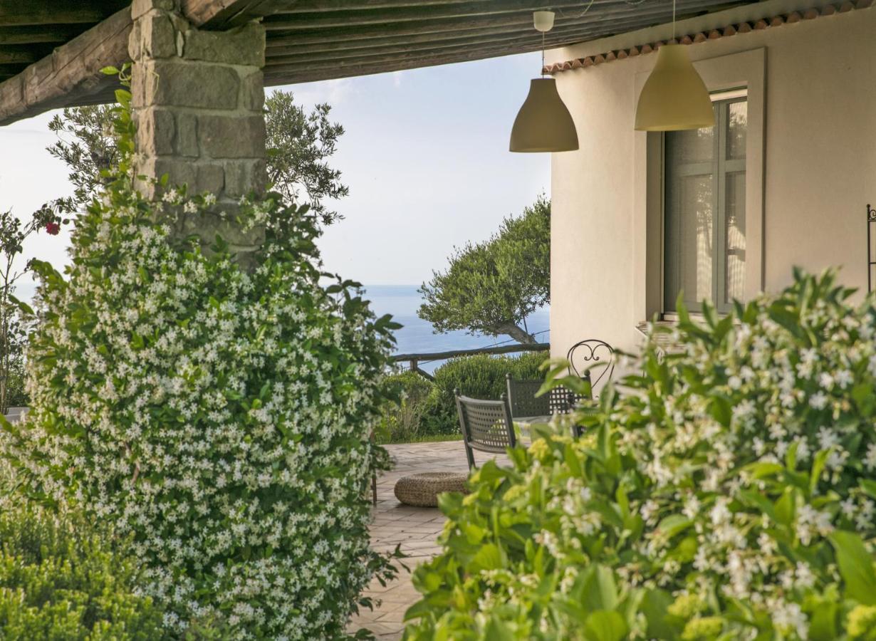 Villa Laura Capo dʼOrlando Zewnętrze zdjęcie